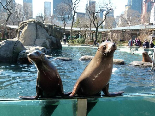 Central Park Zoo