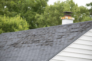 Ways Our New York City Personal Injury Lawyers Help You With a Roofing Accident Claim 