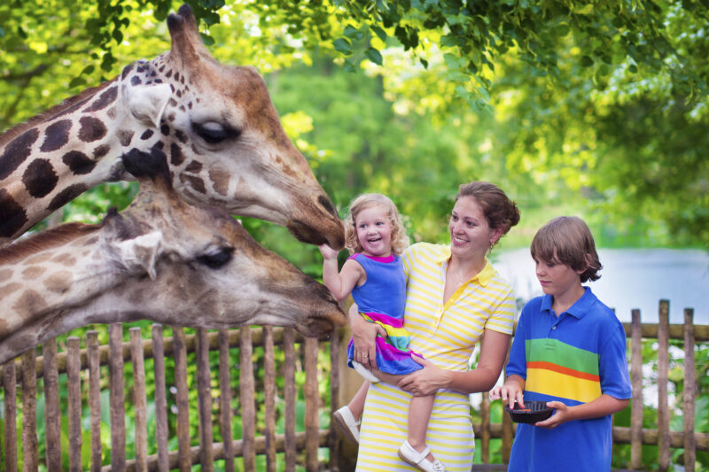 Can I Sue the Bronx Zoo if My Kid Fell While Visiting?