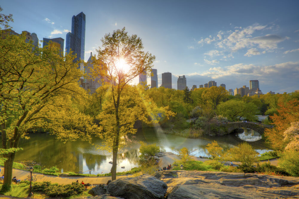 Immediate Steps to Take After an Injury in Central Park