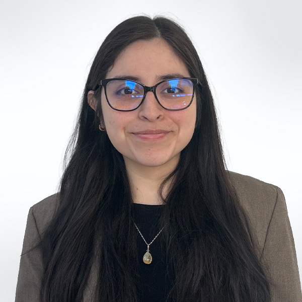 Karina Castro - Personal Injury Lawyer in New York